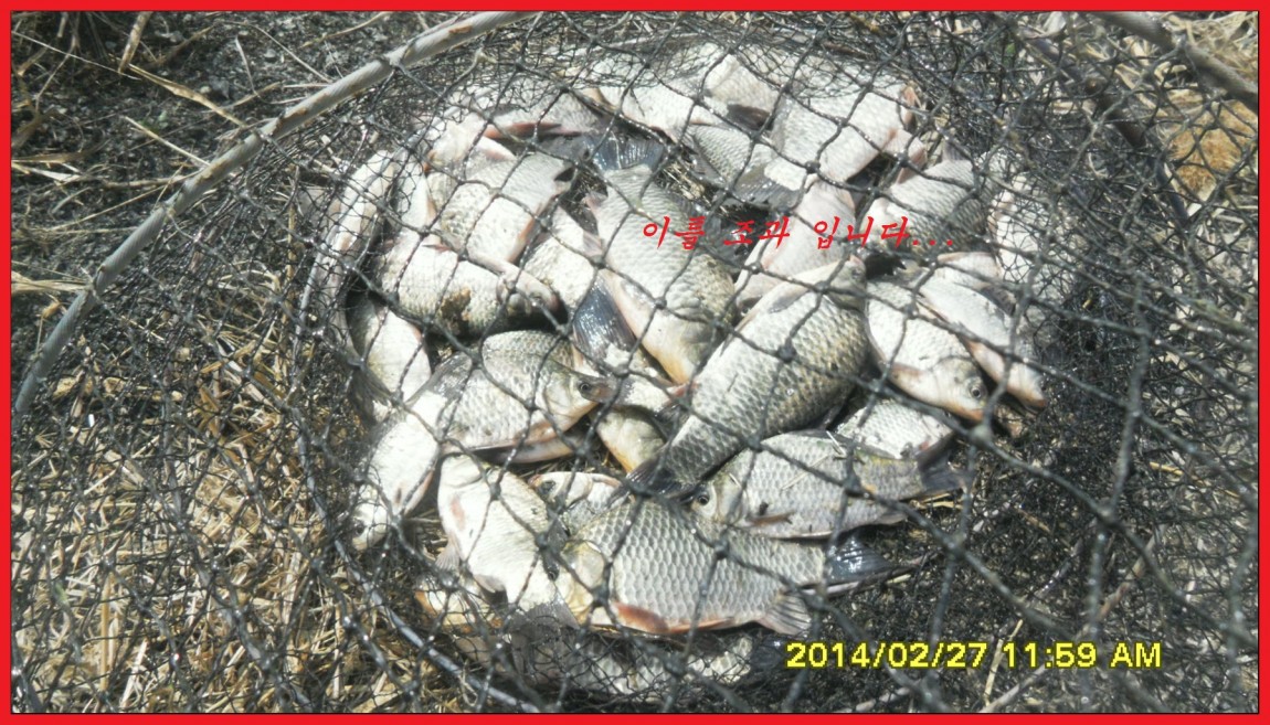 SDC13475.jpg