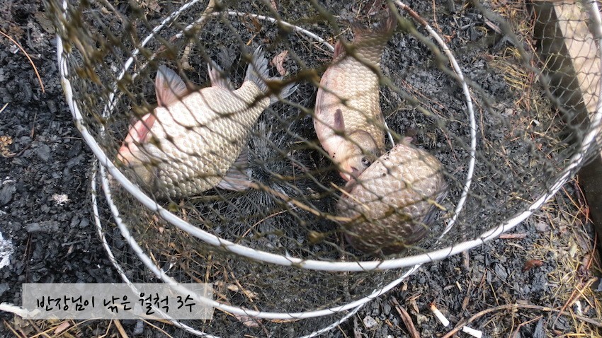 10.JPG