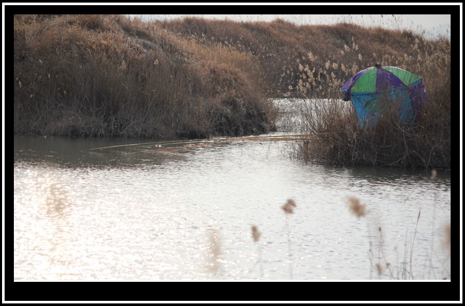 bandicam 2014-03-11 11-26-50-062.jpg