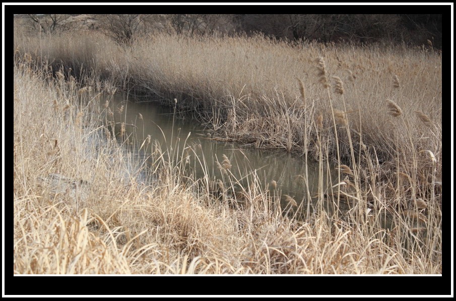 bandicam 2014-03-11 11-24-56-921.jpg