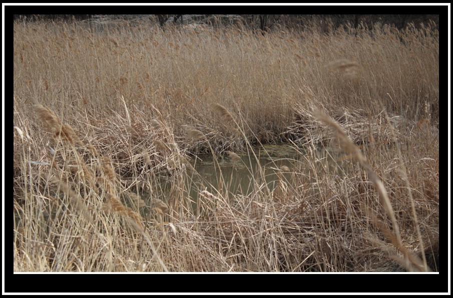 bandicam 2014-03-11 11-25-08-687.jpg