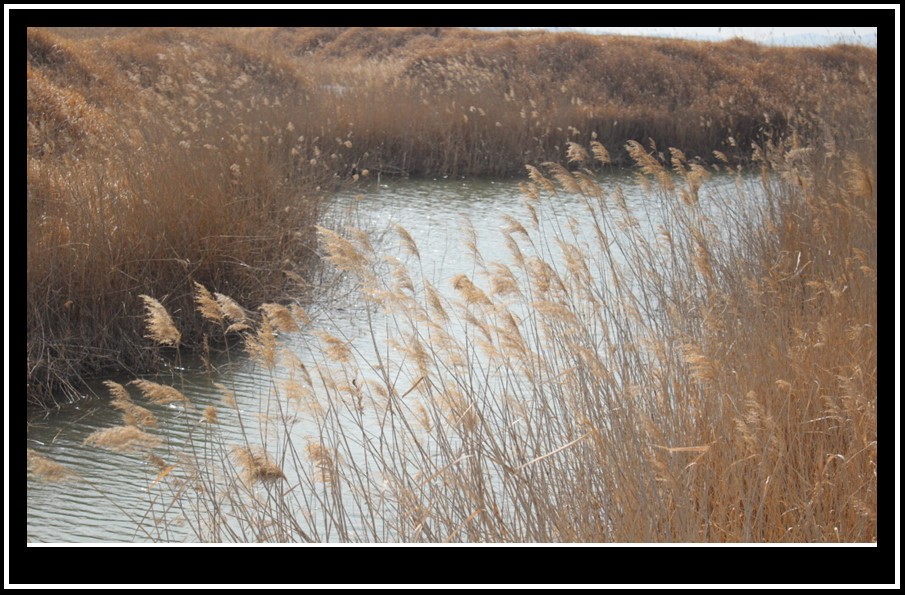 bandicam 2014-03-11 11-25-36-140.jpg