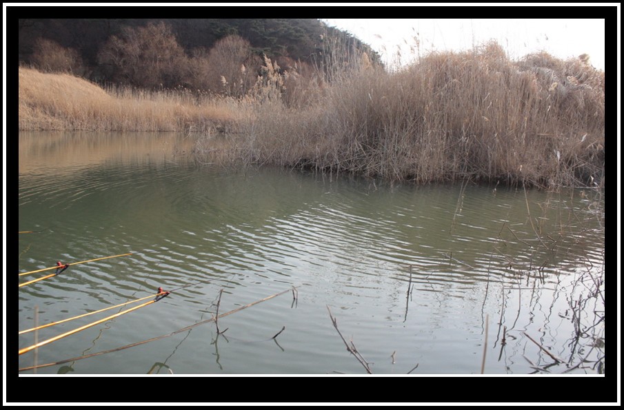 bandicam 2014-03-11 11-28-03-984.jpg