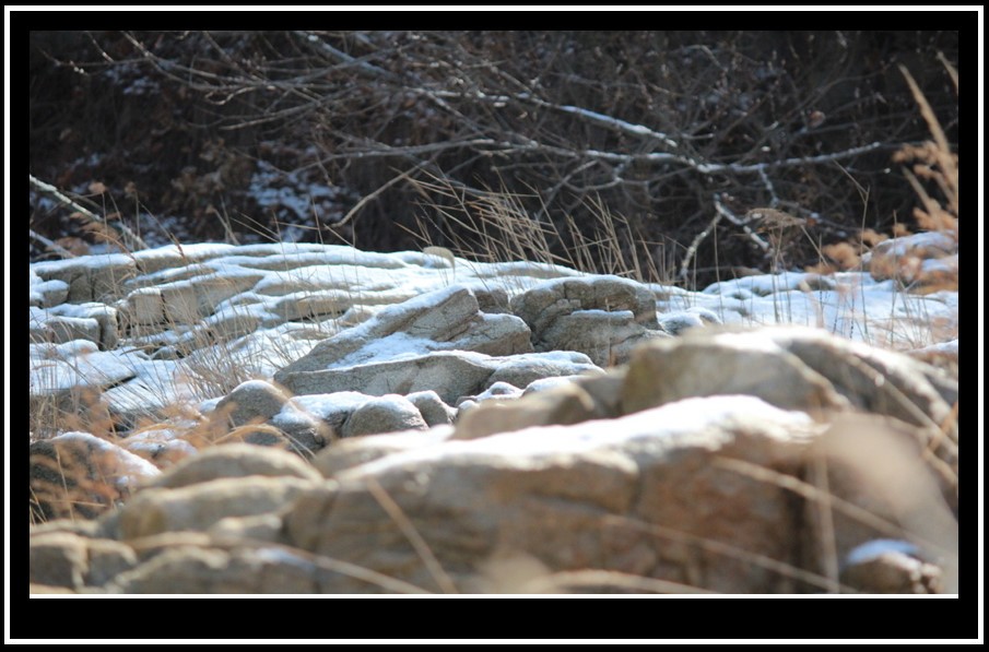 bandicam 2014-03-11 11-34-34-296.jpg