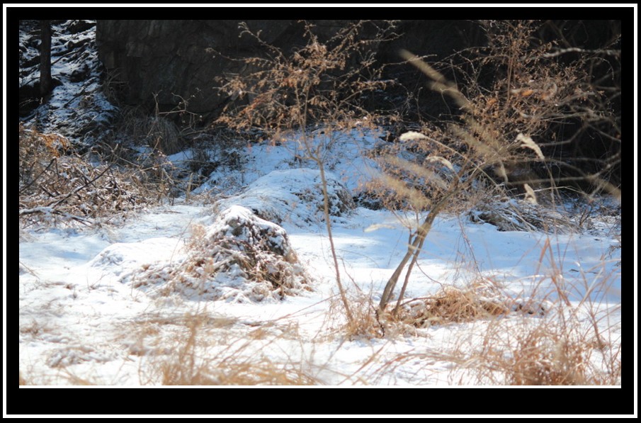 bandicam 2014-03-11 11-36-15-859.jpg