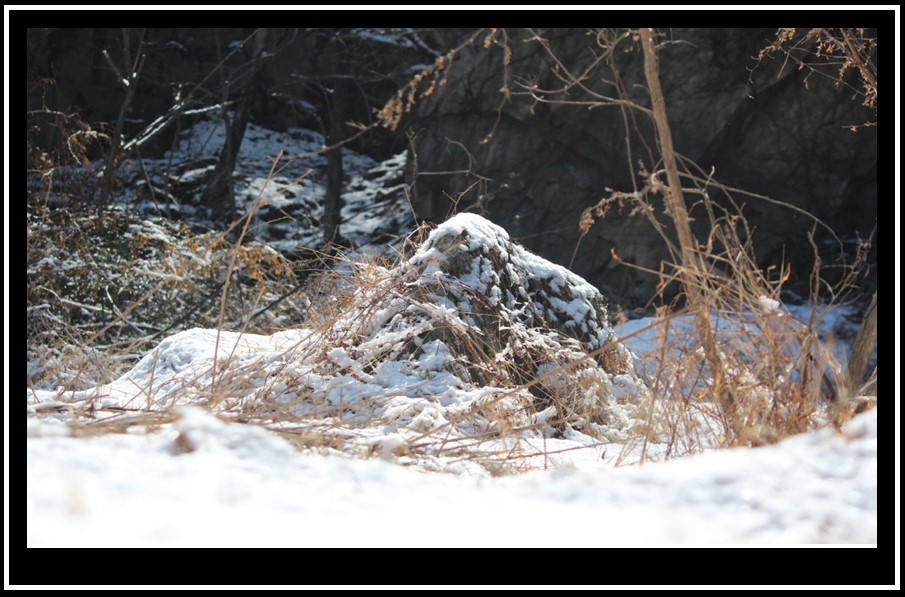 bandicam 2014-03-11 11-36-24-531.jpg