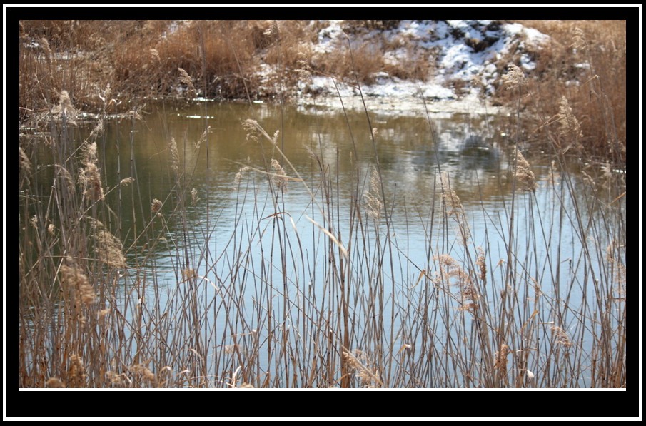 bandicam 2014-03-11 11-36-33-015.jpg