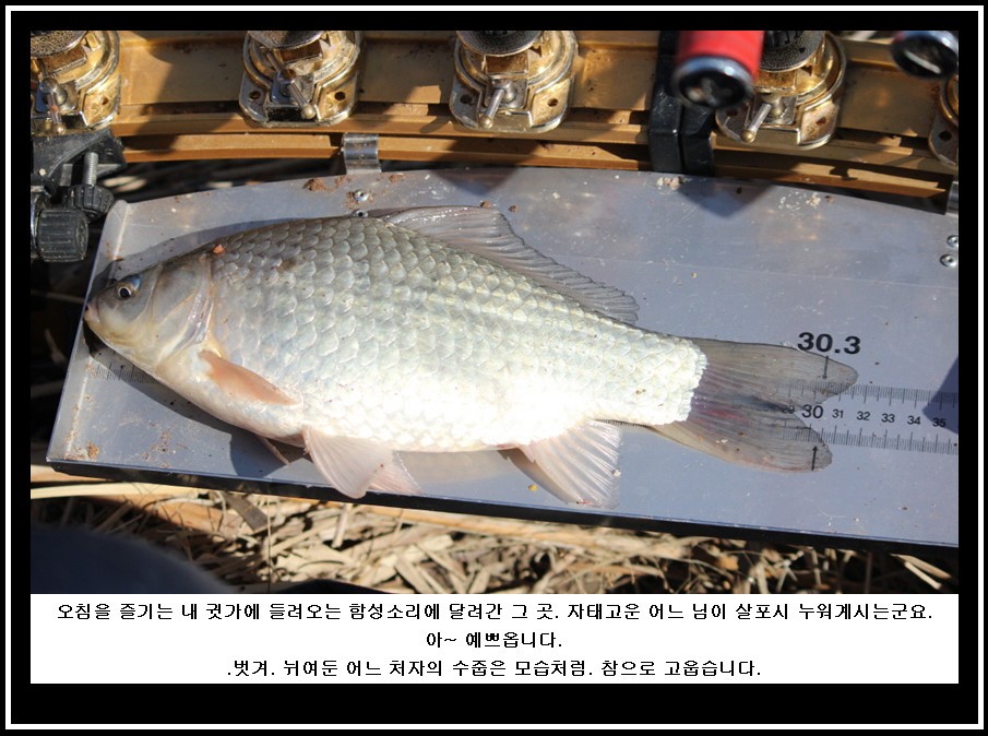 bandicam 2014-03-11 11-36-45-171.jpg