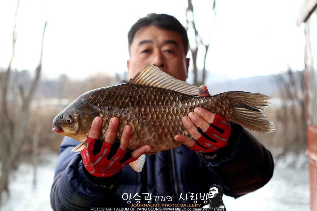 IMG_8334 纻.jpg