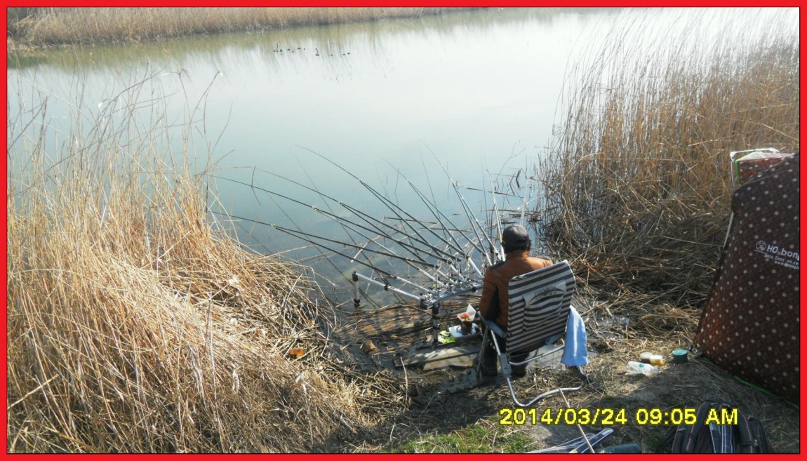 SDC13918.jpg