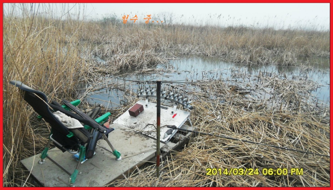 SDC13925.jpg