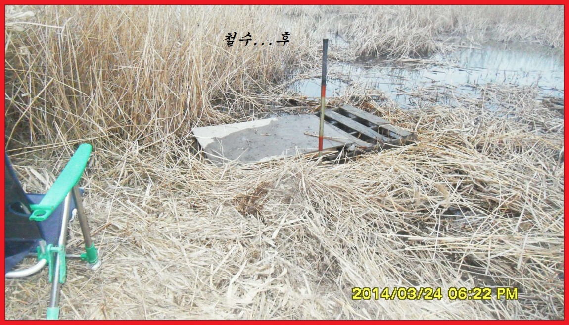 SDC13926.jpg