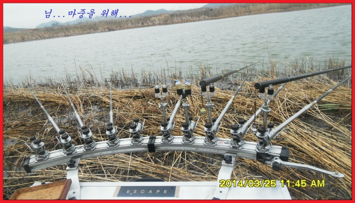 SDC13936.jpg