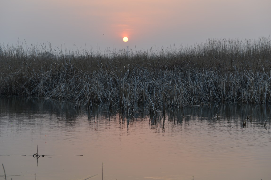 ����ȣ���θ��� (11).JPG