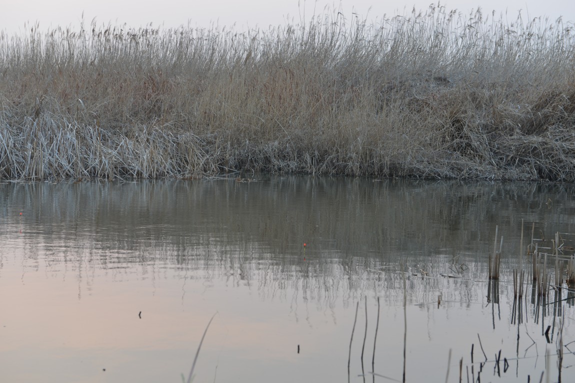 ����ȣ���θ��� (12).JPG