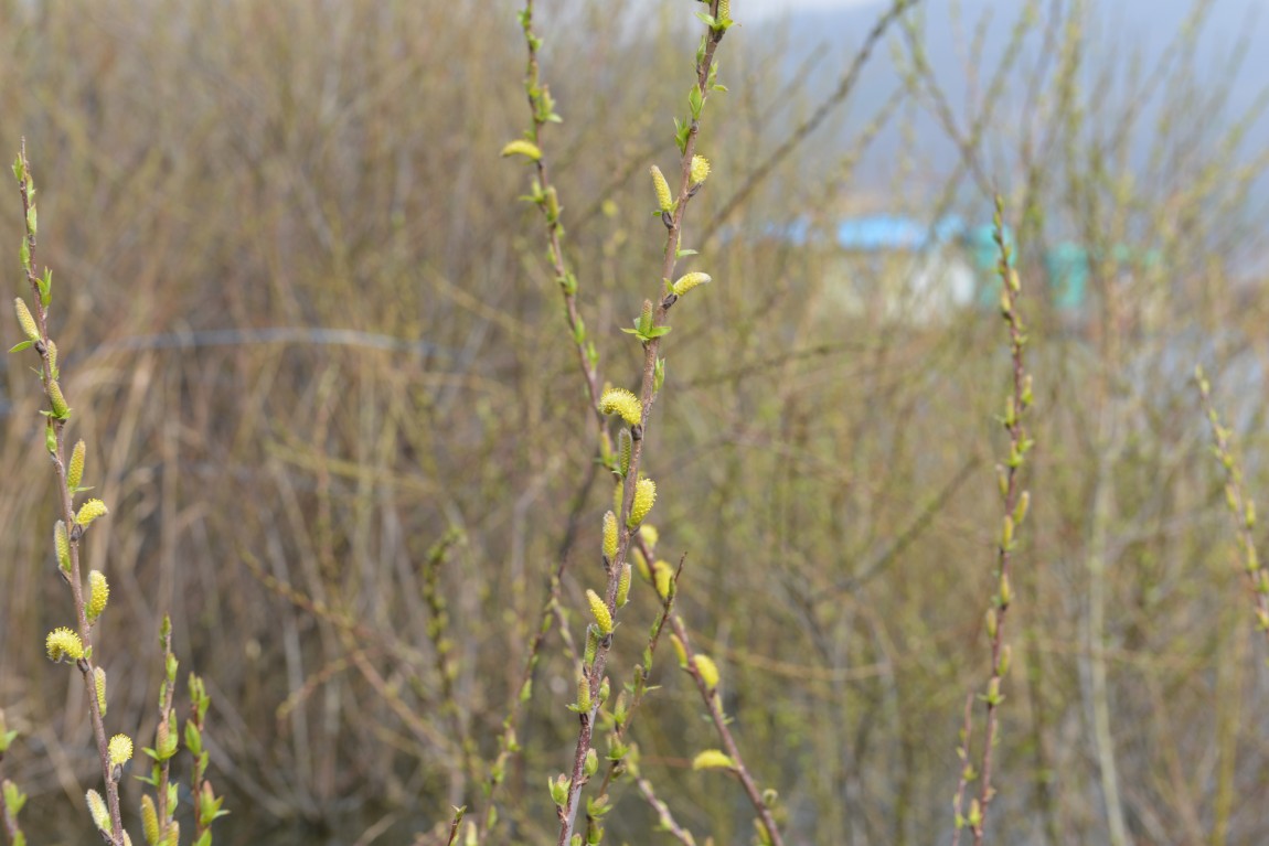 ������11�� (2).JPG