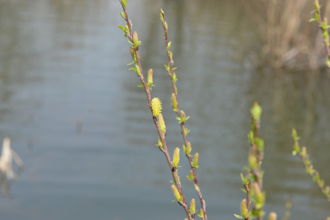 ������11�� (3).JPG