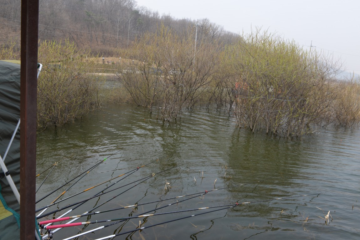 ������11�� (5).JPG