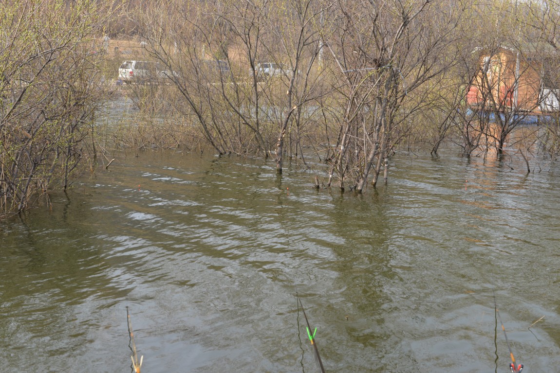 ������11�� (7).JPG