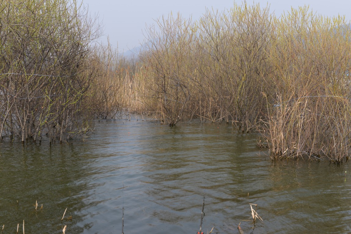 ������11�� (8).JPG