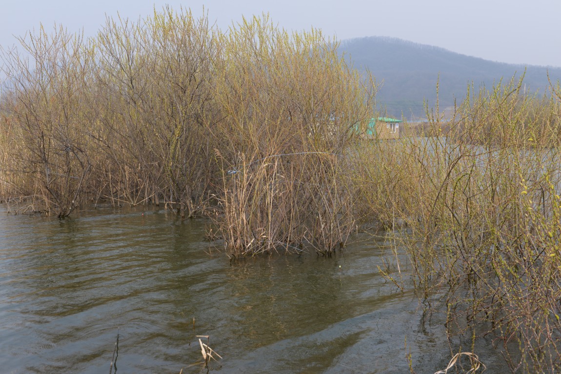 ������11�� (9).JPG