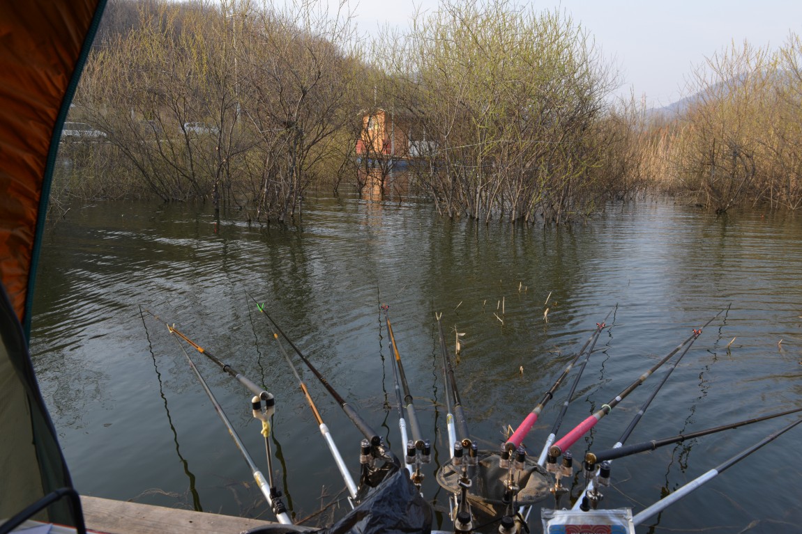 ������11�� (10).JPG