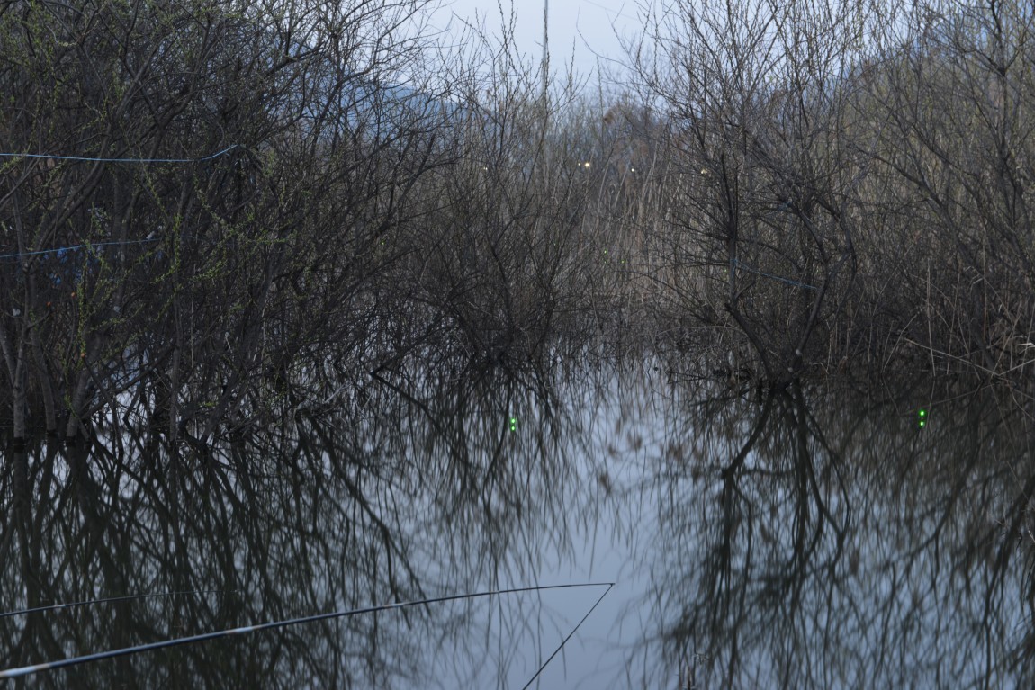 ������11�� (12).JPG