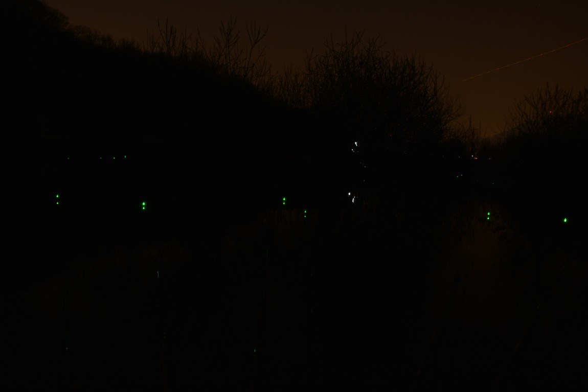 ������11�� (17).JPG