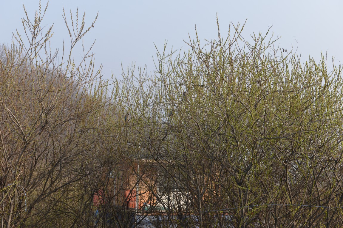 ������11�� (18).JPG