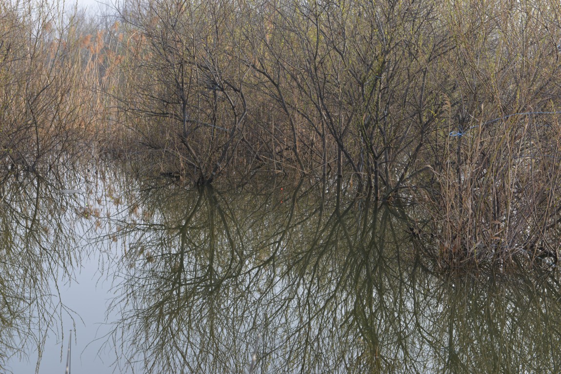 ������11�� (19).JPG