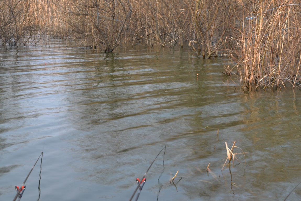 �����������´� (15).JPG