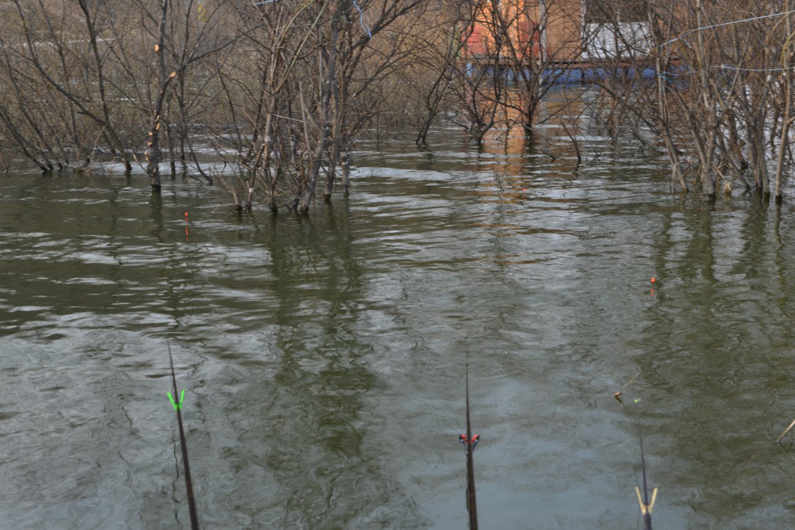 �����������´� (16).JPG