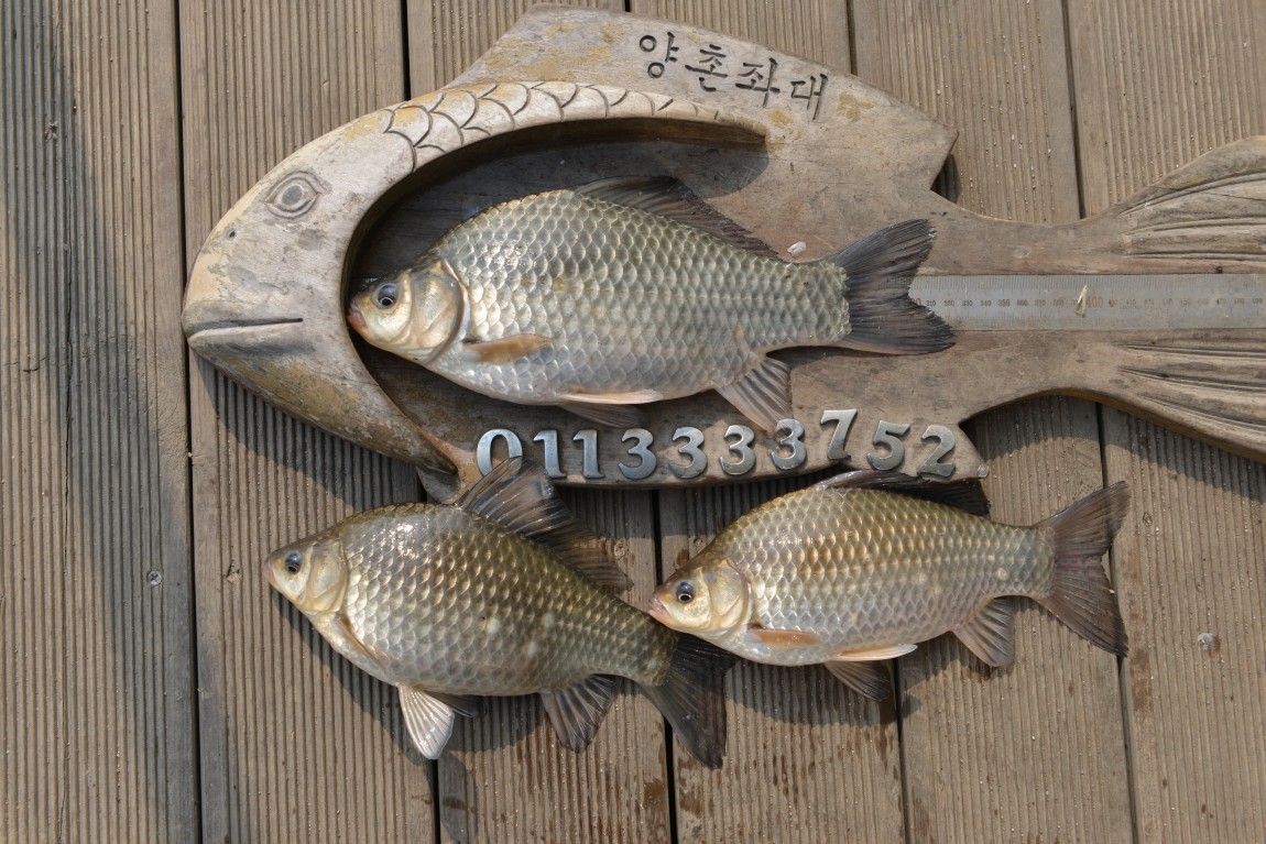 ������11�� (21).JPG