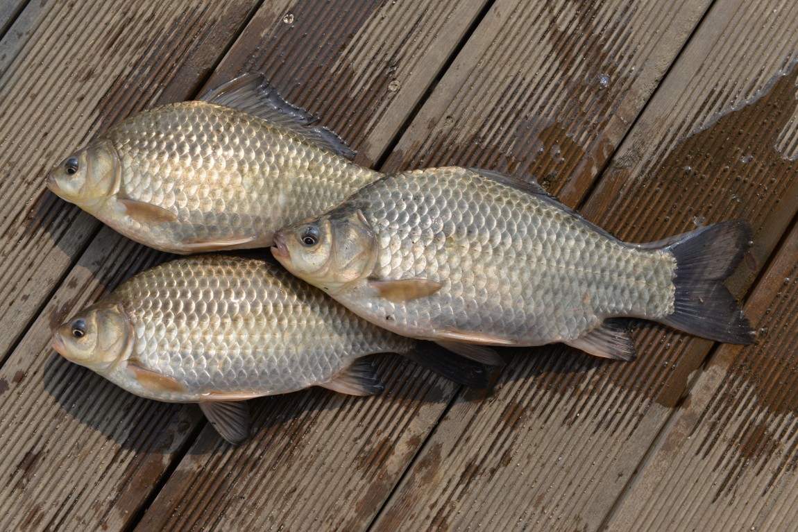 ������11�� (22).JPG