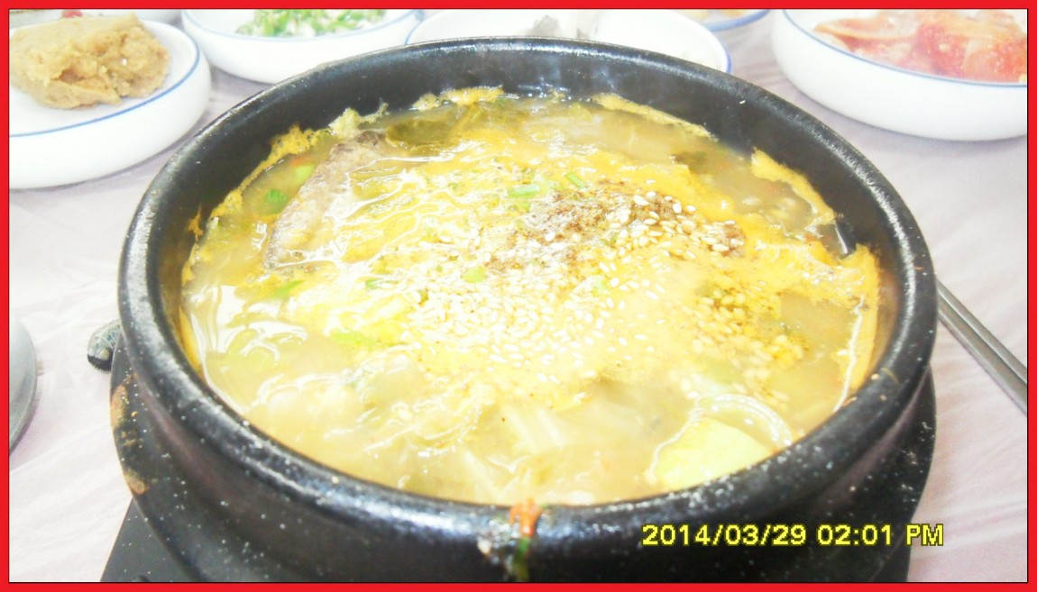 SDC14018.jpg