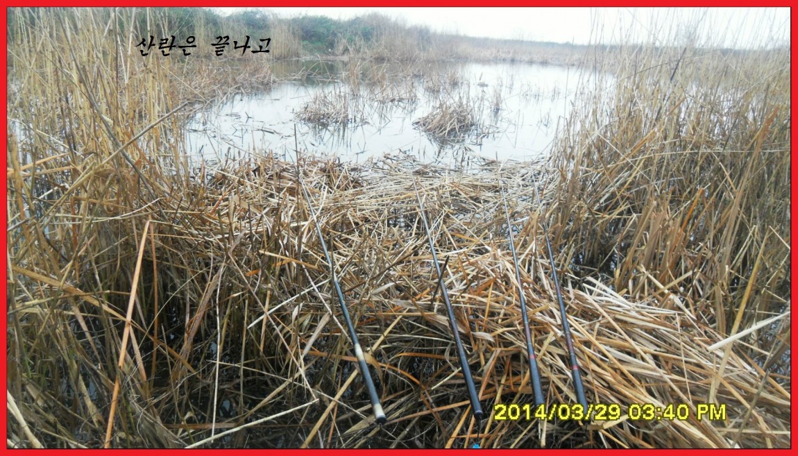 SDC14020.jpg