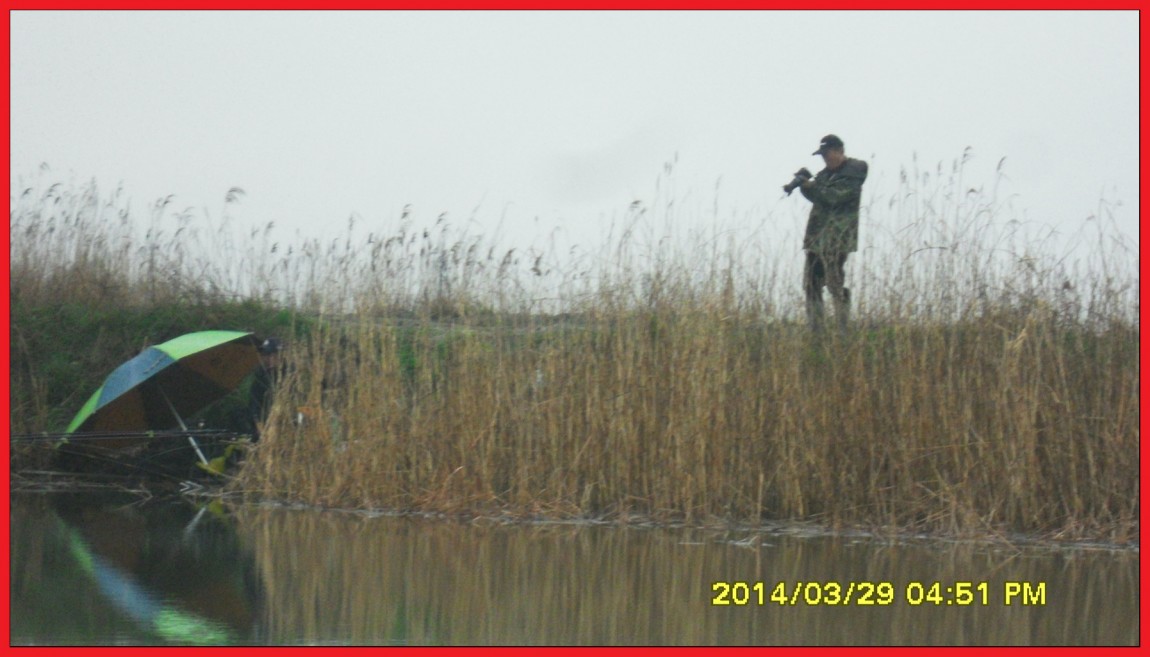 SDC14022.jpg