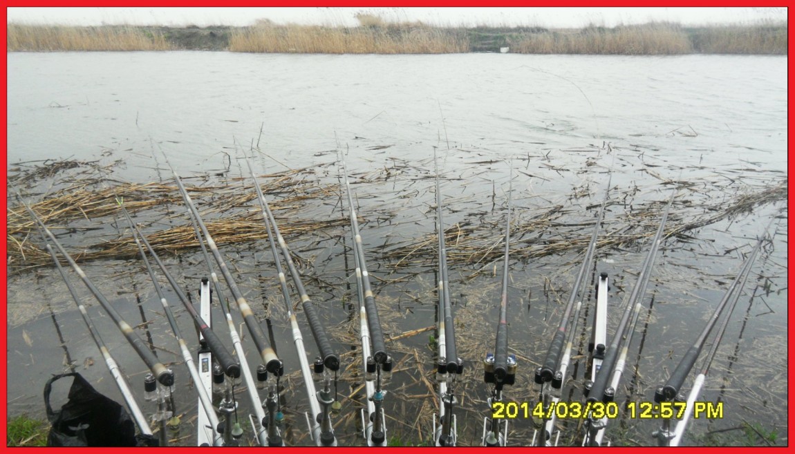 SDC14030.jpg