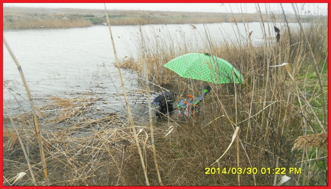 SDC14031.jpg