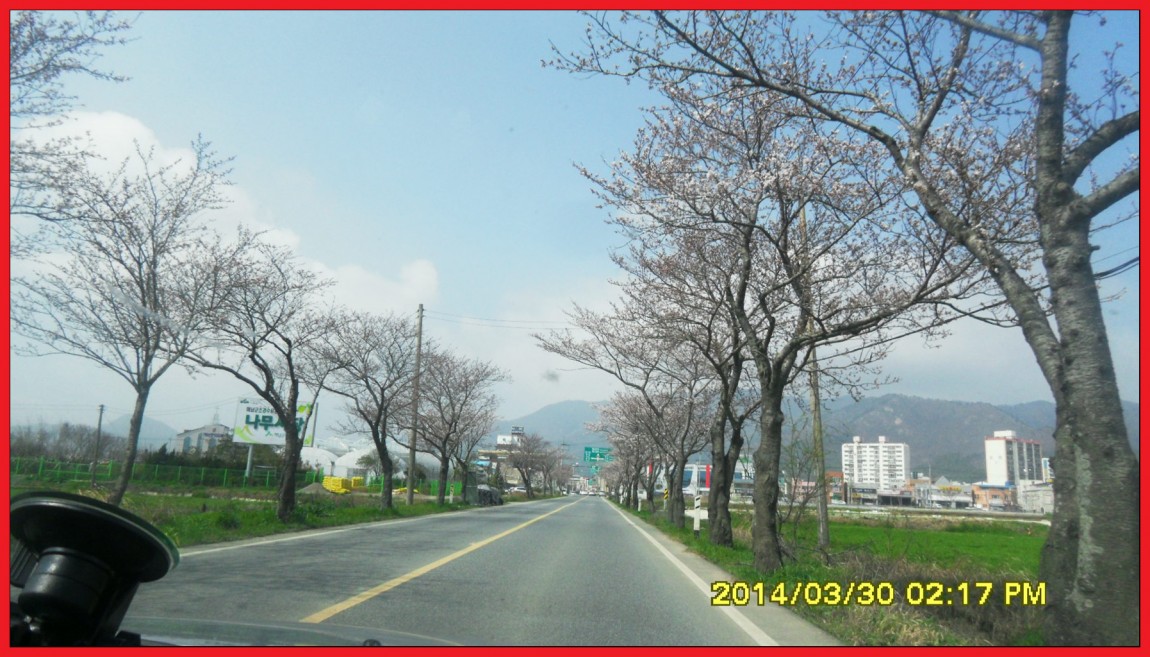 SDC14032.jpg