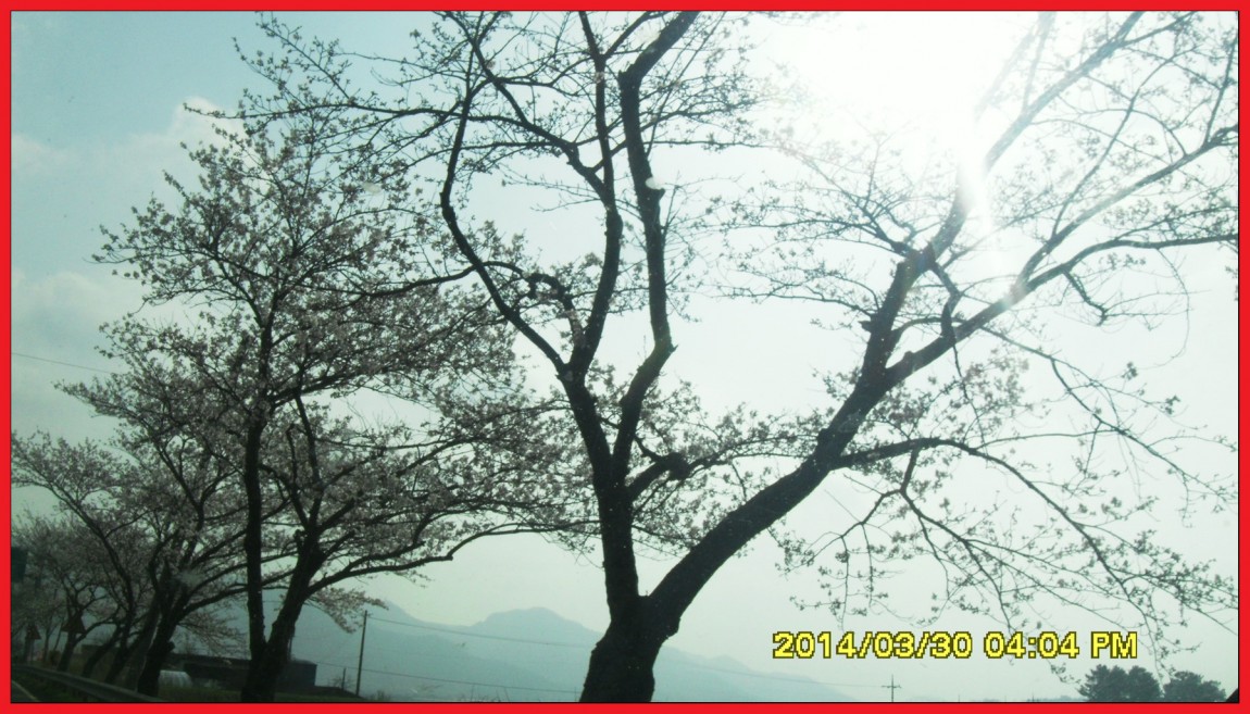 SDC14036.jpg