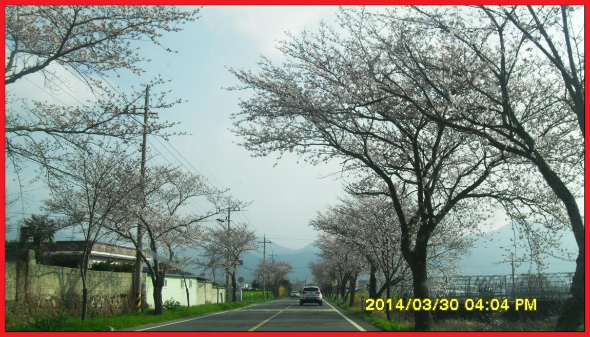 SDC14037.jpg