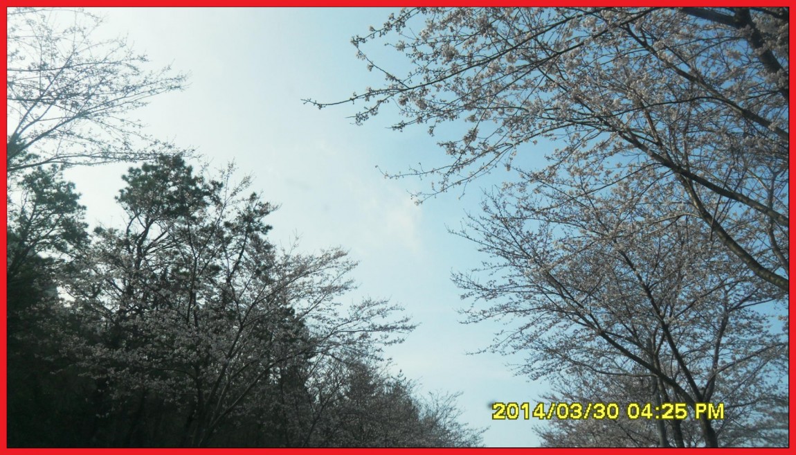 SDC14039.jpg
