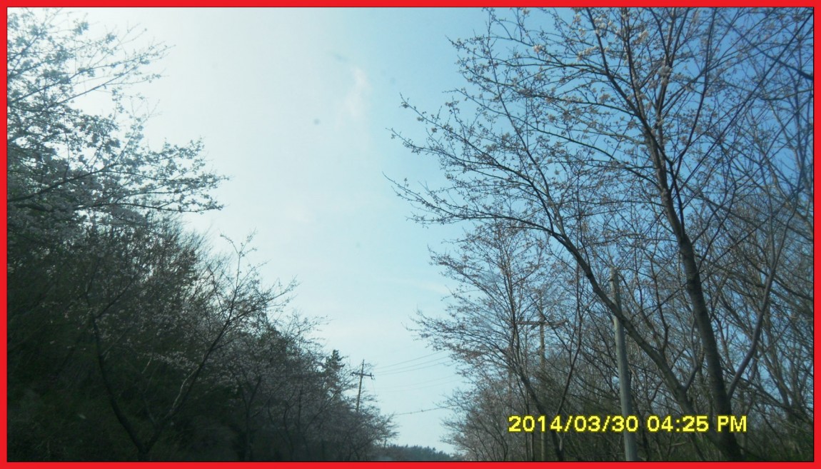 SDC14041.jpg