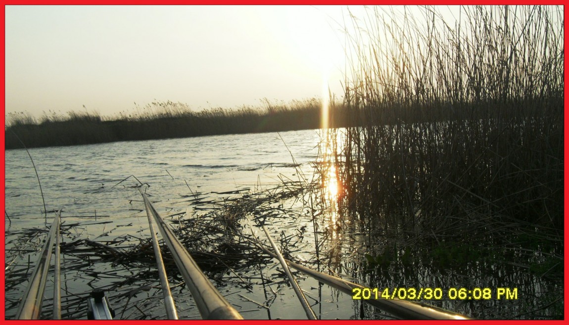 SDC14043.jpg