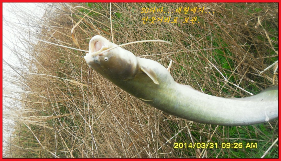 SDC14046.jpg
