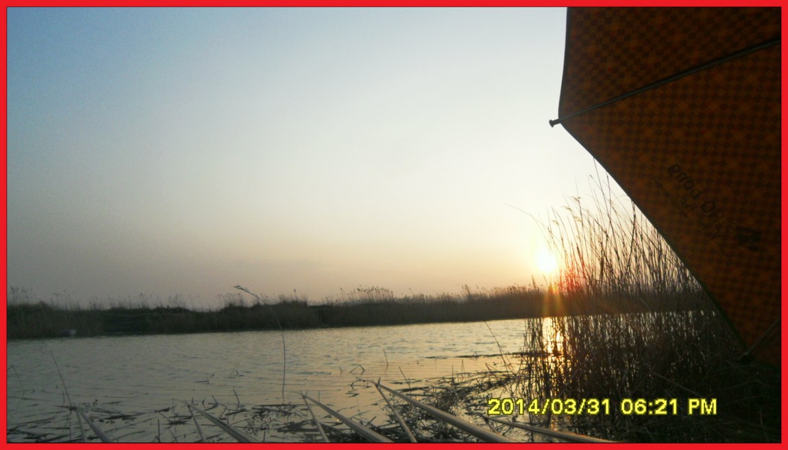 SDC14056.jpg
