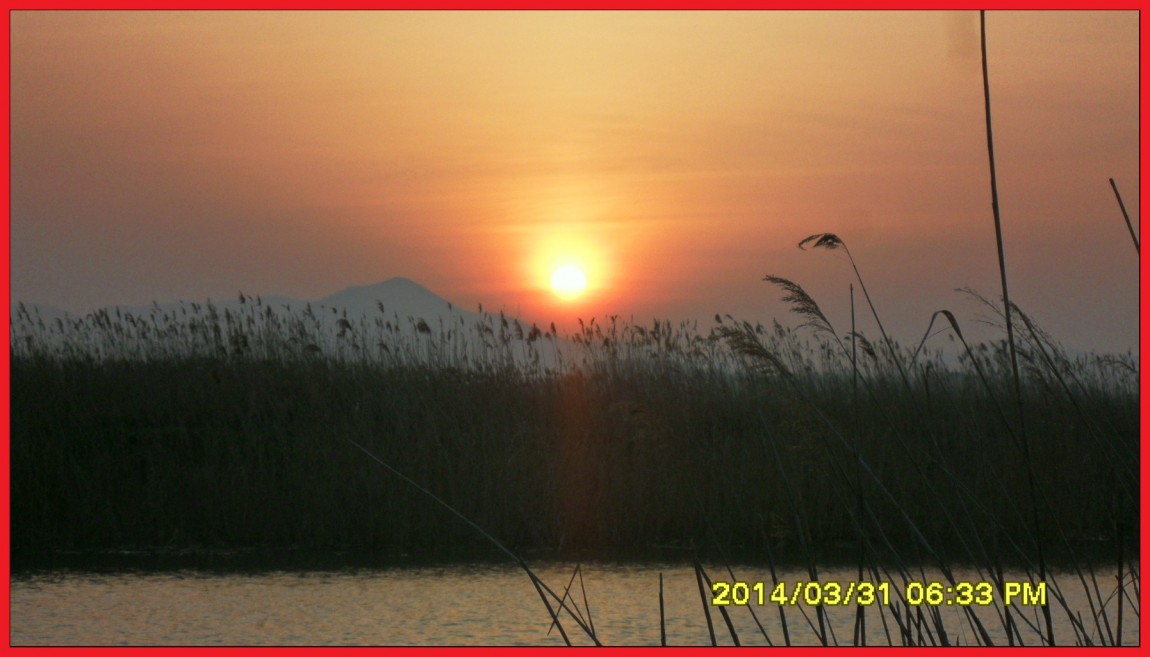 SDC14058.jpg