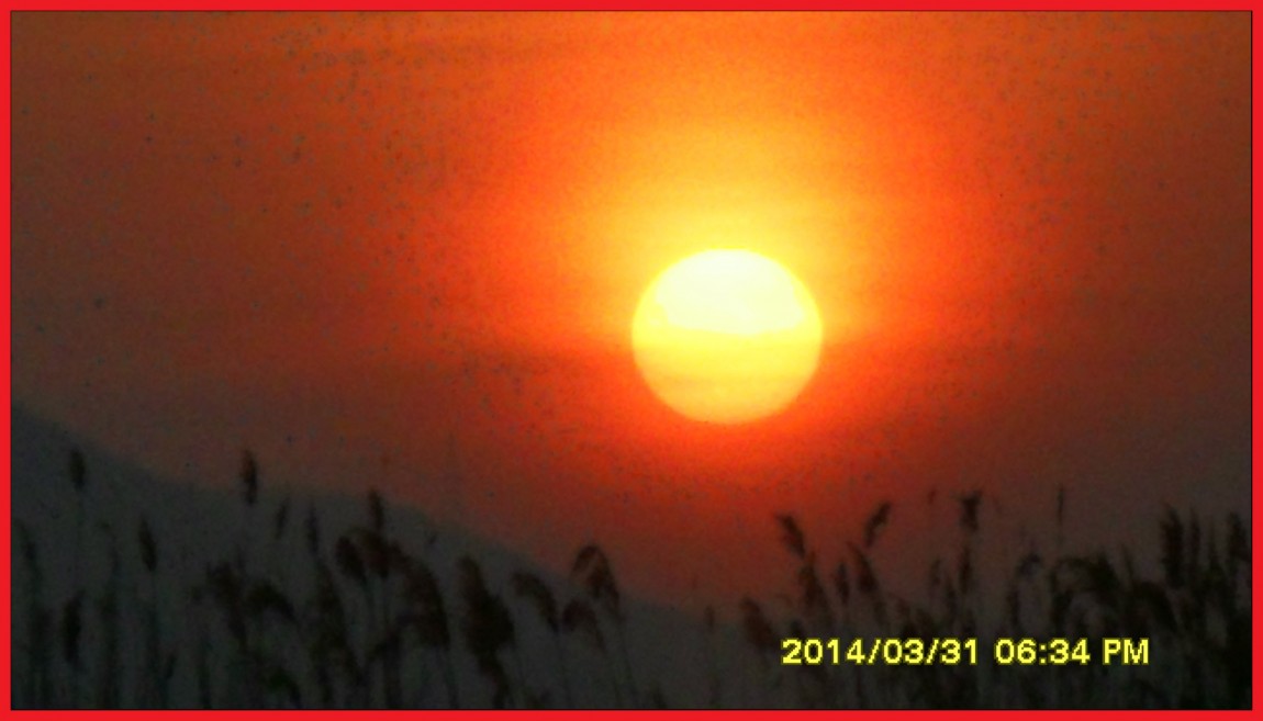 SDC14059.jpg