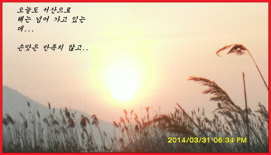 SDC14060.jpg